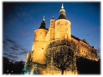 Le ch�teau des Ducs de nuit